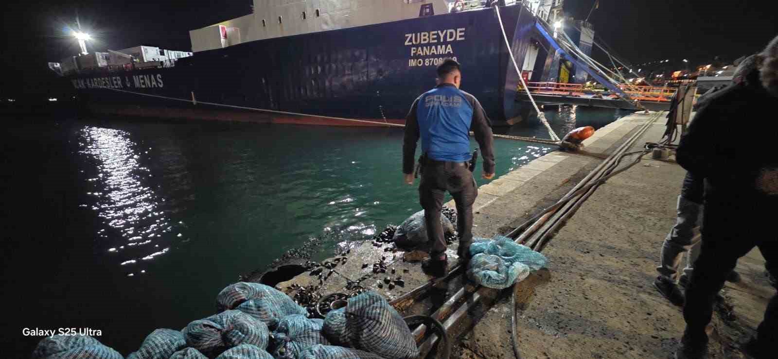 samsunda 300 kilo kacak midye ele gecirildi 2 7ZHy4yaR