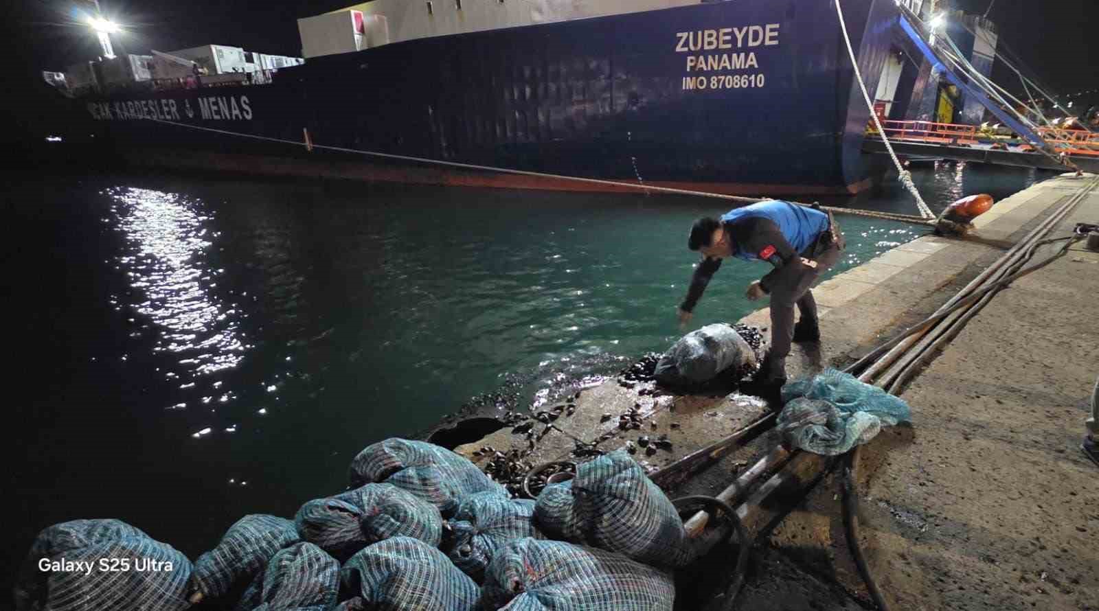 samsunda 300 kilo kacak midye ele gecirildi 3