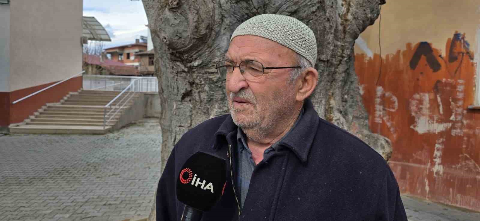 samsunda asirlik citlembik agaci icin koruma cagrisi 1 V4eaHLyu