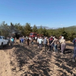 samsunda-bicerdoverden-cikan-yangin-150-donum-ekili-alani-kule-cevirdi-DfKrsOva.jpg
