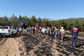 Erdek’te zincirleme kaza: 1 ölü, 2 yaralı 3 thumbnail