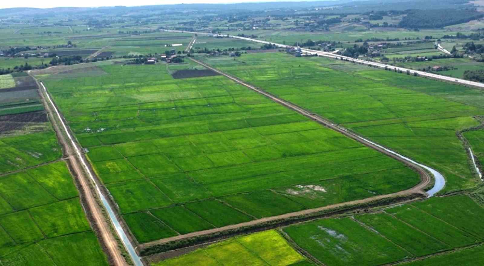 Samsun’da bozulan tarım arazileri cezasız kalmadı: 48 işlem uygulandı 4 samsunda bozulan tarim arazileri cezasiz kalmadi 48 islem uygulandi 0
