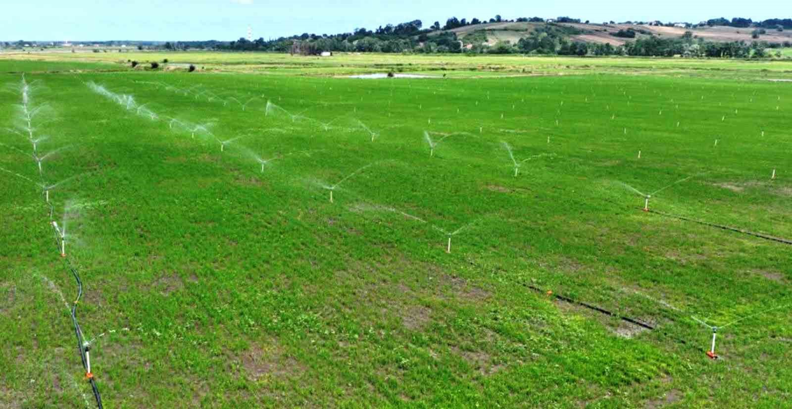 Samsun’da bozulan tarım arazileri cezasız kalmadı: 48 işlem uygulandı 5 samsunda bozulan tarim arazileri cezasiz kalmadi 48 islem uygulandi 1 hDnlmLSD