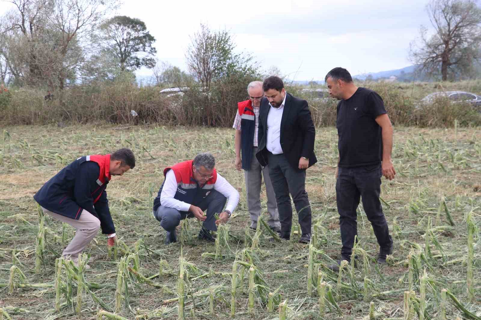 Samsun’da dolu afetinde 40 bin dekar tarım arazisi olumsuz etkilendi 6 samsunda dolu afetinde 40 bin dekar tarim arazisi olumsuz etkilendi 2 cUIj5dpW