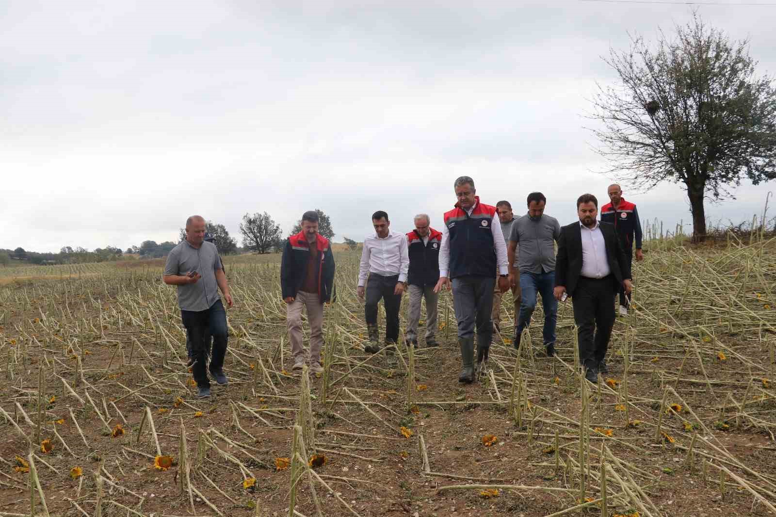 Samsun’da dolu afetinde 40 bin dekar tarım arazisi olumsuz etkilendi 7 samsunda dolu afetinde 40 bin dekar tarim arazisi olumsuz etkilendi 3 JvYUVE7j