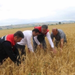 samsunda-dolu-afetinde-40-bin-dekar-tarim-arazisi-olumsuz-etkilendi-LvPwkiKM.jpg