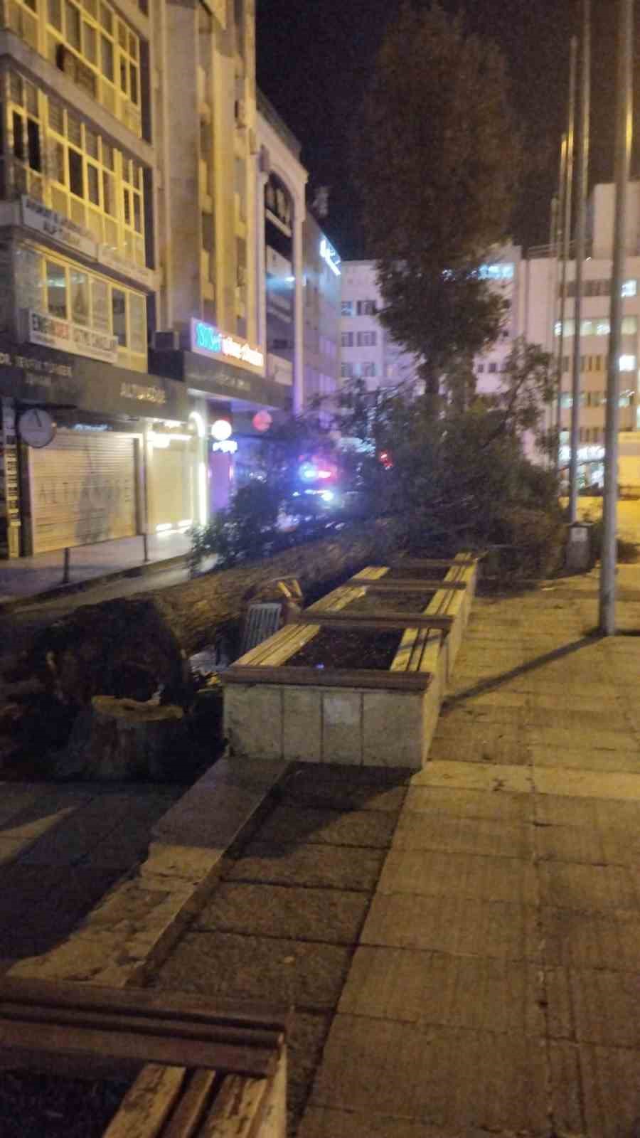 samsunda firtina agac devirdi 5 GOsmIPaq