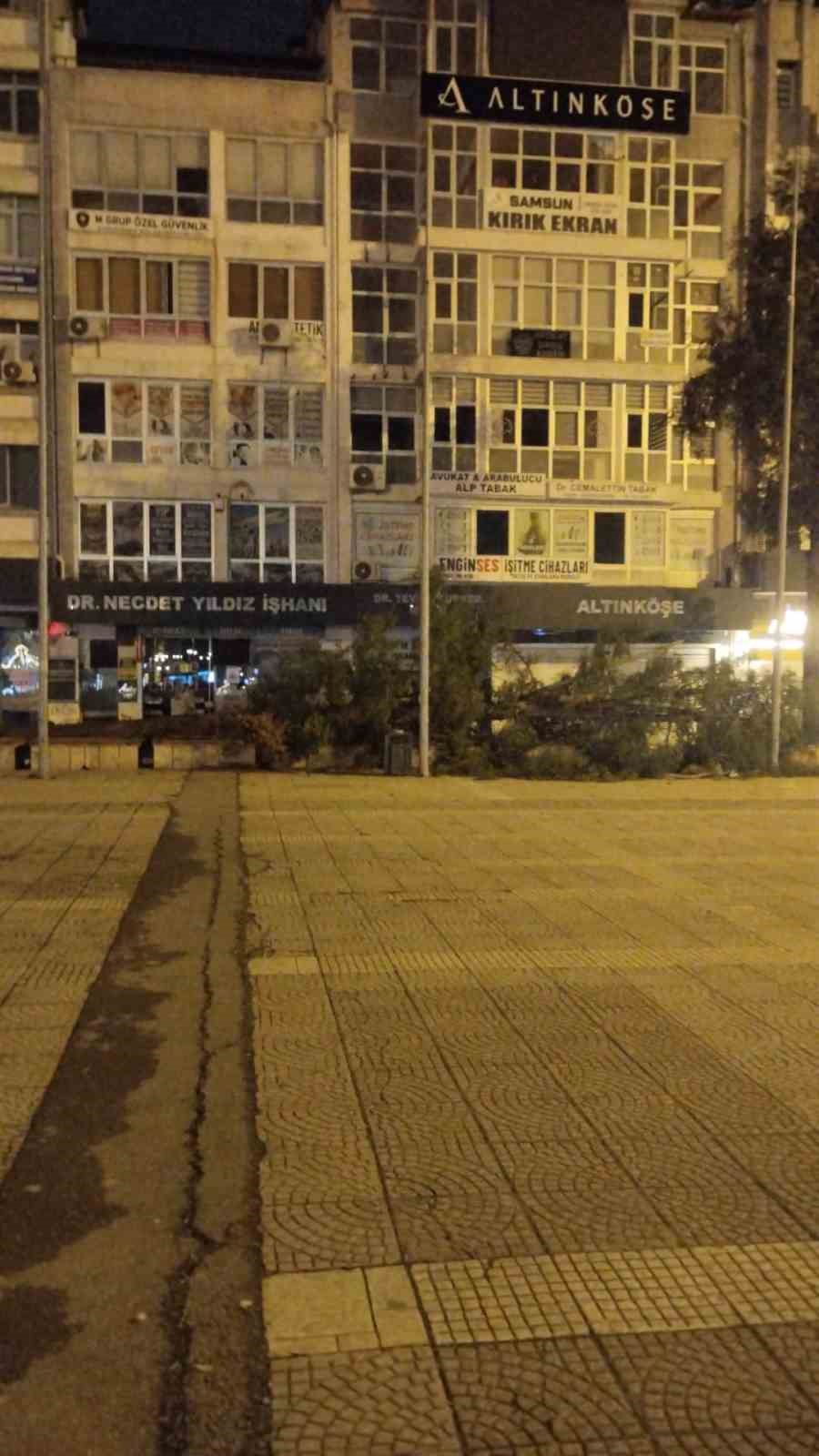 samsunda firtina agac devirdi 6