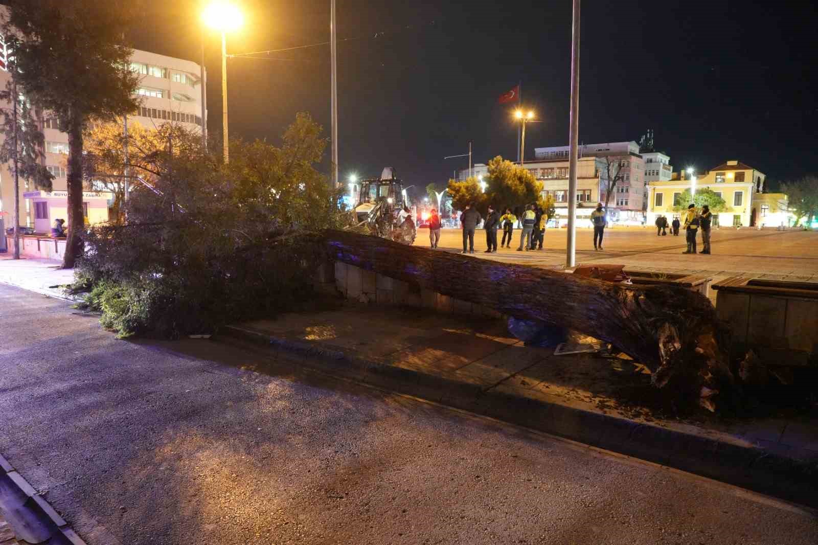 samsunda firtina catilari ucurdu agaclari devirdi 8 i5hbZIZ5