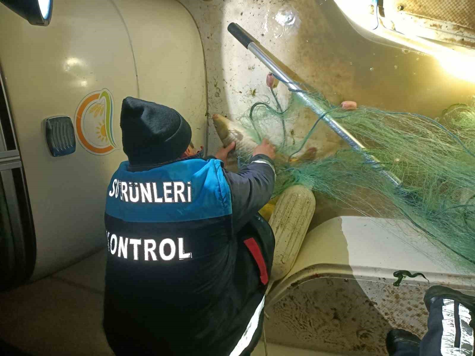 Samsun’da kaçak avcılığa geçit yok: 60 kiloluk sazan geri salındı 8 samsunda kacak avciliga gecit yok 60 kiloluk sazan geri salindi 4 HcjmYEnj