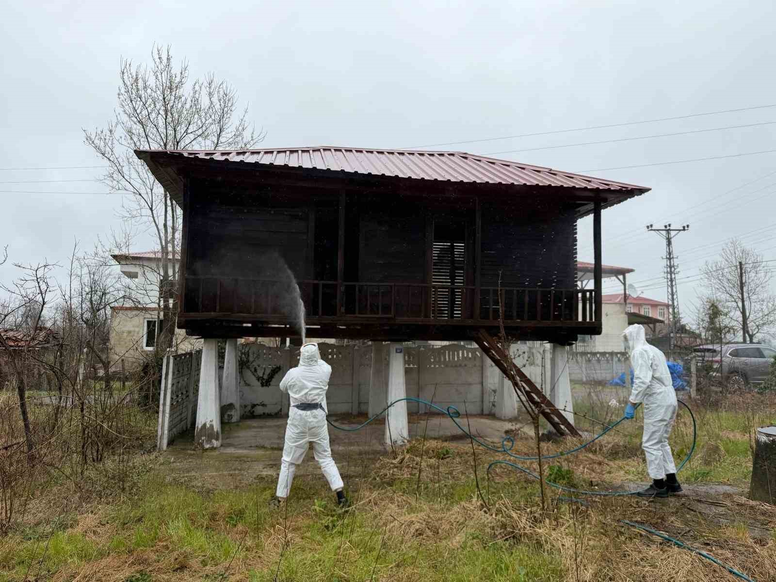 samsunda kokarca zararlisina karsi mucadele suruyor 1 3wcST4TZ