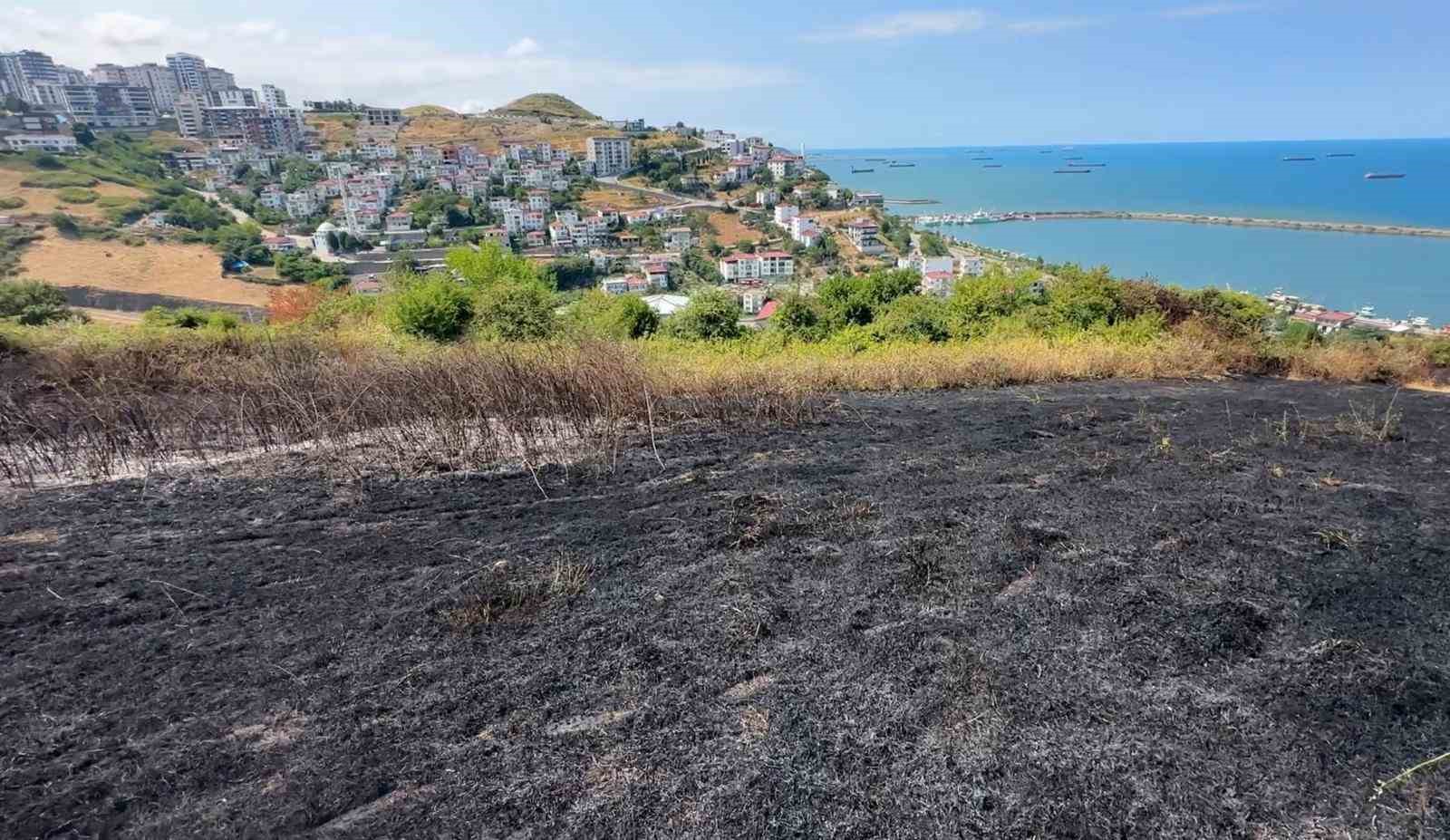 Samsun’da otluk alan yangını: 10 dönüm alan zarar gördü 5 samsunda otluk alan yangini 10 donum alan zarar gordu 1 iIJ6BK9C