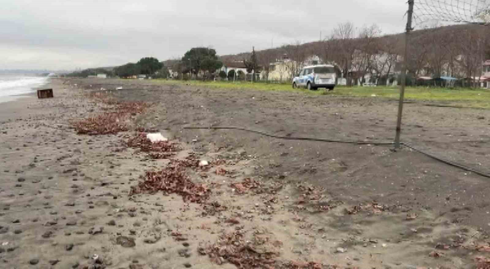 samsunda sahile vuran sandik incelemeye alindi 1 v9VFdVld