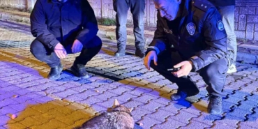 samsunda-sehre-inen-cakala-polis-ekiplerinden-sefkat-eli-wR2qkt77.jpg
