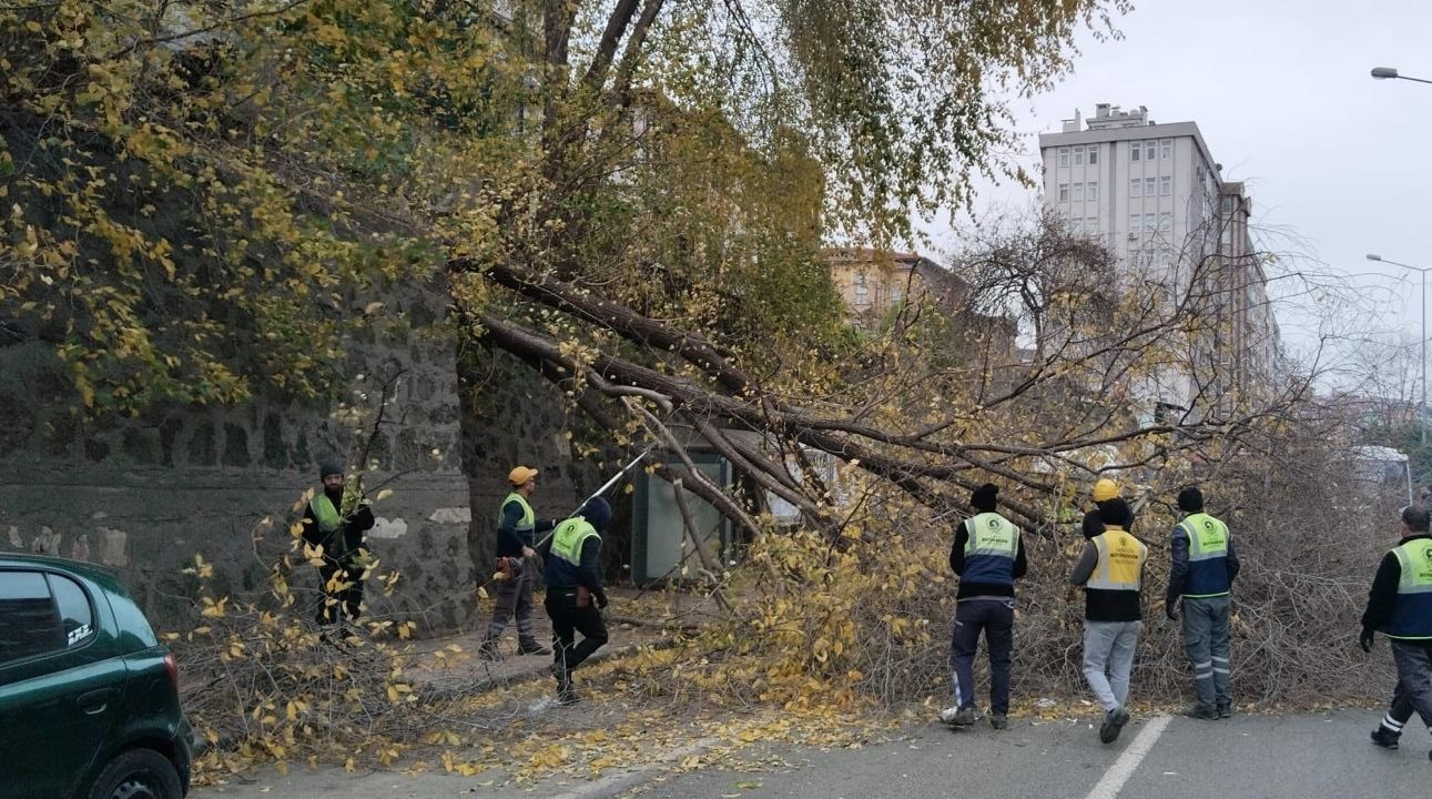 samsunda siddetli ruzgar agaclari devirdi 0