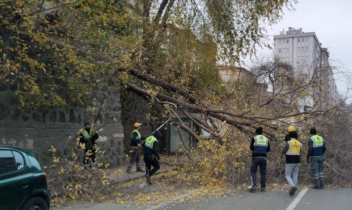 samsunda siddetli ruzgar agaclari devirdi 1 4k9AFVNm