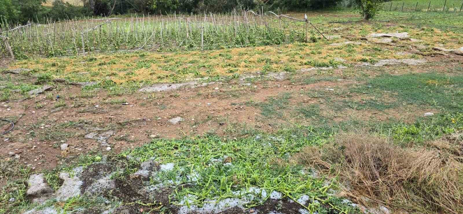 Samsun’da şiddetli sağanak ve dolu zarara yol açtı 6 samsunda siddetli saganak ve dolu zarara yol acti 2 9Gme291G