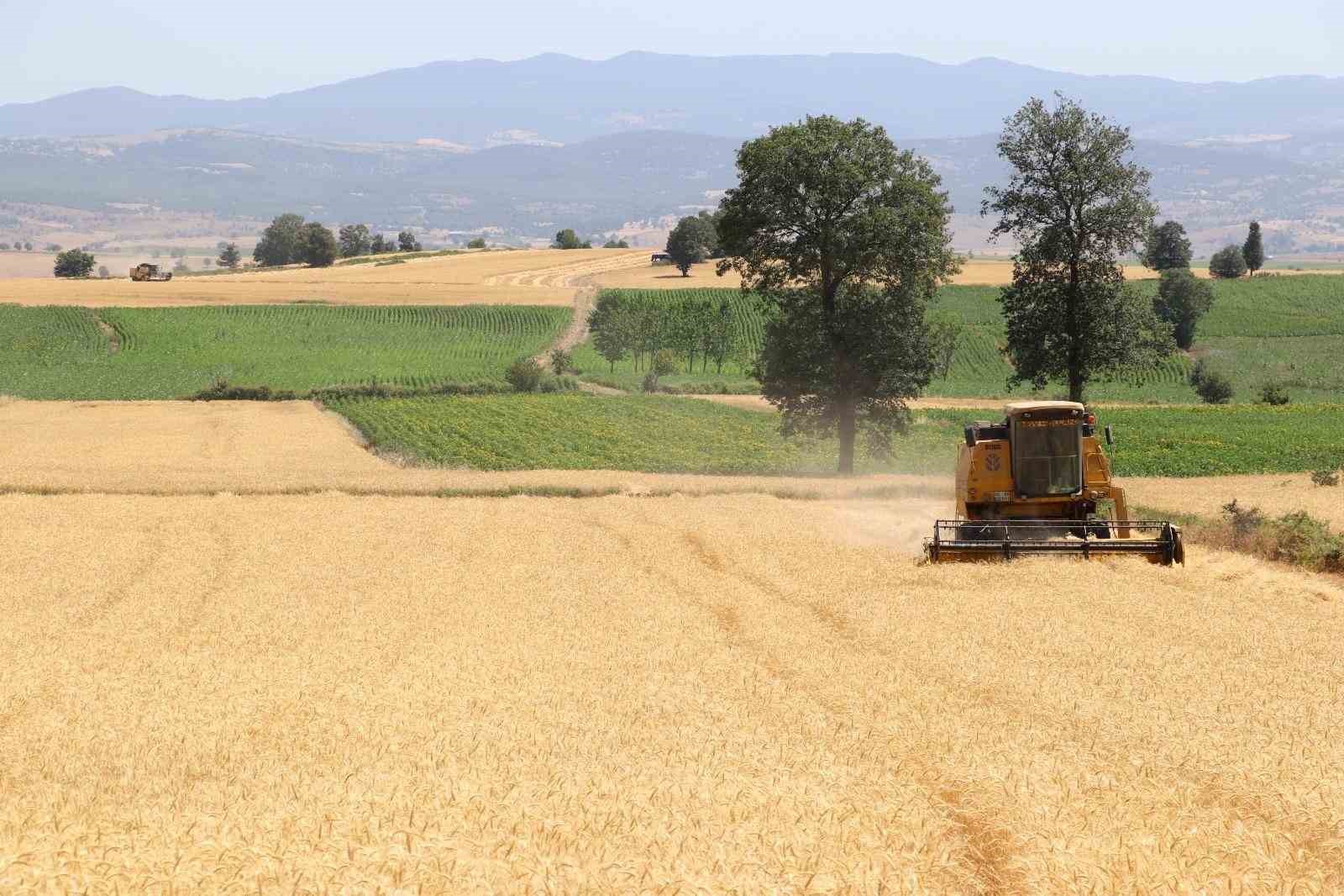 Samsun’da tarım, hayvancılık ve kırsal kalkınmaya 3 milyar TL üzerinde destek 4 samsunda tarim hayvancilik ve kirsal kalkinmaya 3 milyar tl uzerinde destek 0 Mz1z5718
