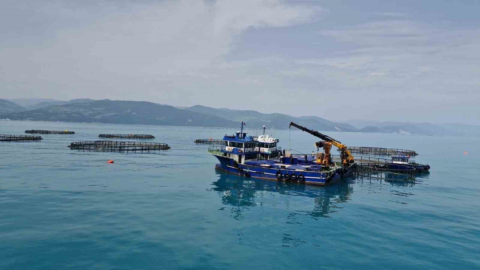 Samsun’da tarım, hayvancılık ve kırsal kalkınmaya 3 milyar TL üzerinde destek 7 samsunda tarim hayvancilik ve kirsal kalkinmaya 3 milyar tl uzerinde destek 3 Ec7X44eb