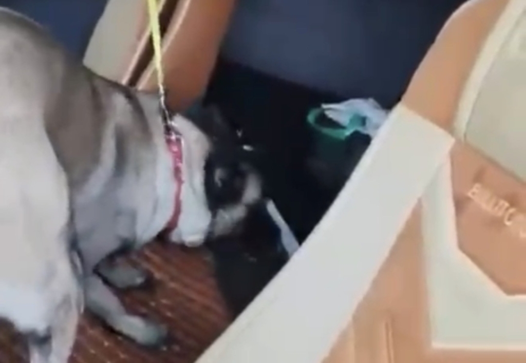 featured