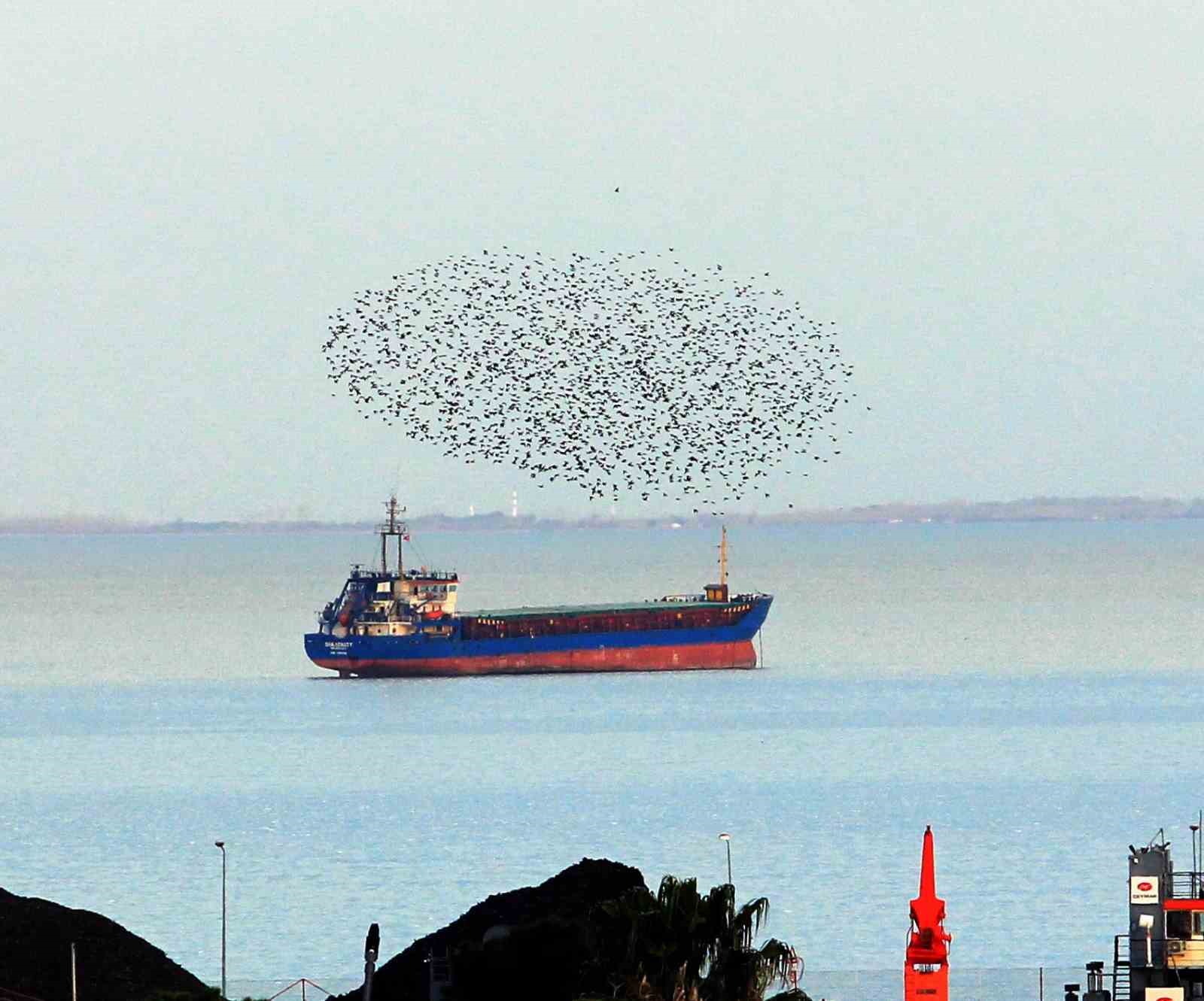 Samsun’dan objektife yansıyanlar: Gökyüzü büyüledi, şehir ışıkları geceyi aydınlattı 5 samsundan objektife yansiyanlar gokyuzu buyuledi sehir isiklari geceyi aydinlatti 1