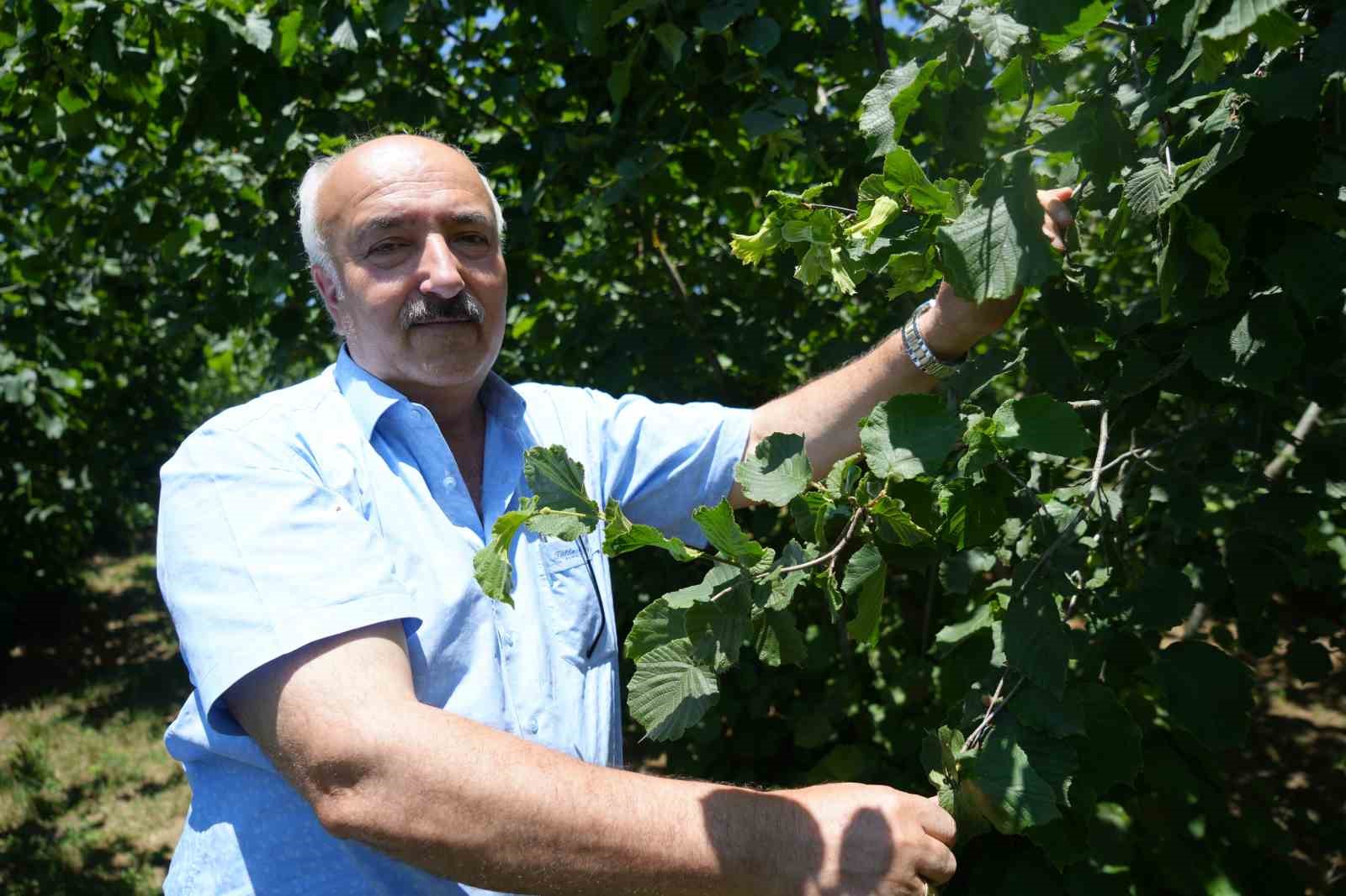 samsunun findikta hedefi bu yil da birincilik 1 wQ248q7G