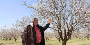 sanliurfa-badem-uretiminde-adiyaman-ile-yarisiyor-3bcnJxwL.jpg