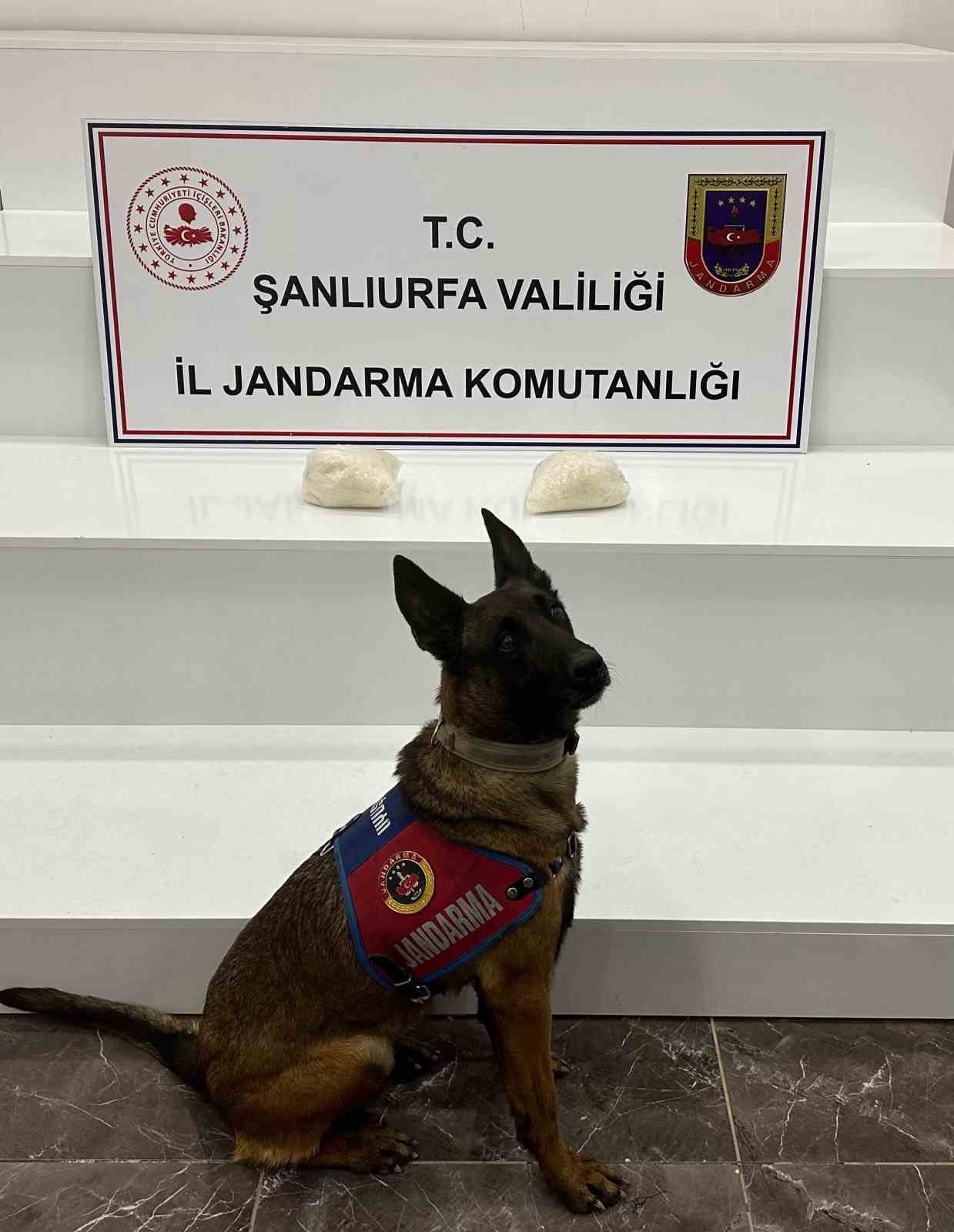 sanliurfada 2 kilo uyusturucu ele gecirildi 2 gozalti 0 TIRD4Dh6