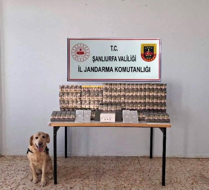 sanliurfada 5 bin 210 paket kacak sigara ele gecirildi 1