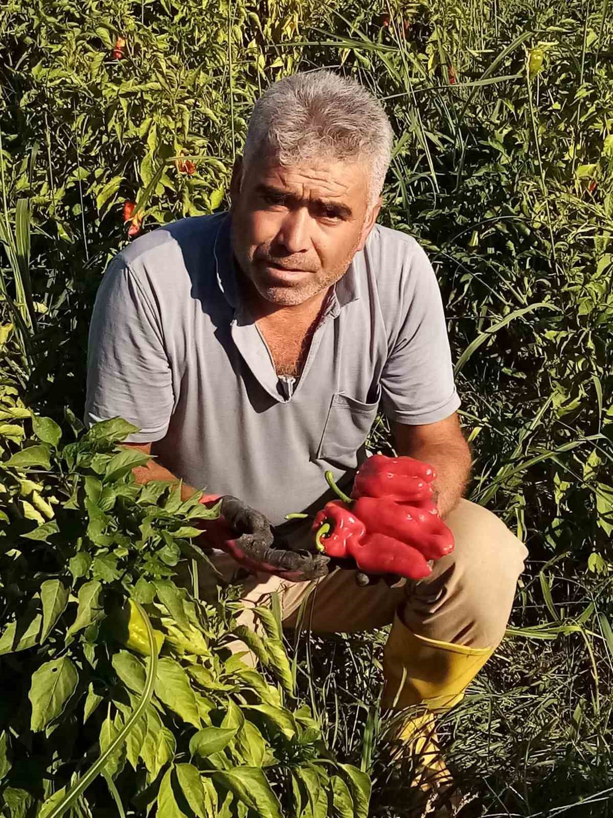 sanliurfada asansor faciasi bosluga dusen servis soforu hayatini kaybetti 0