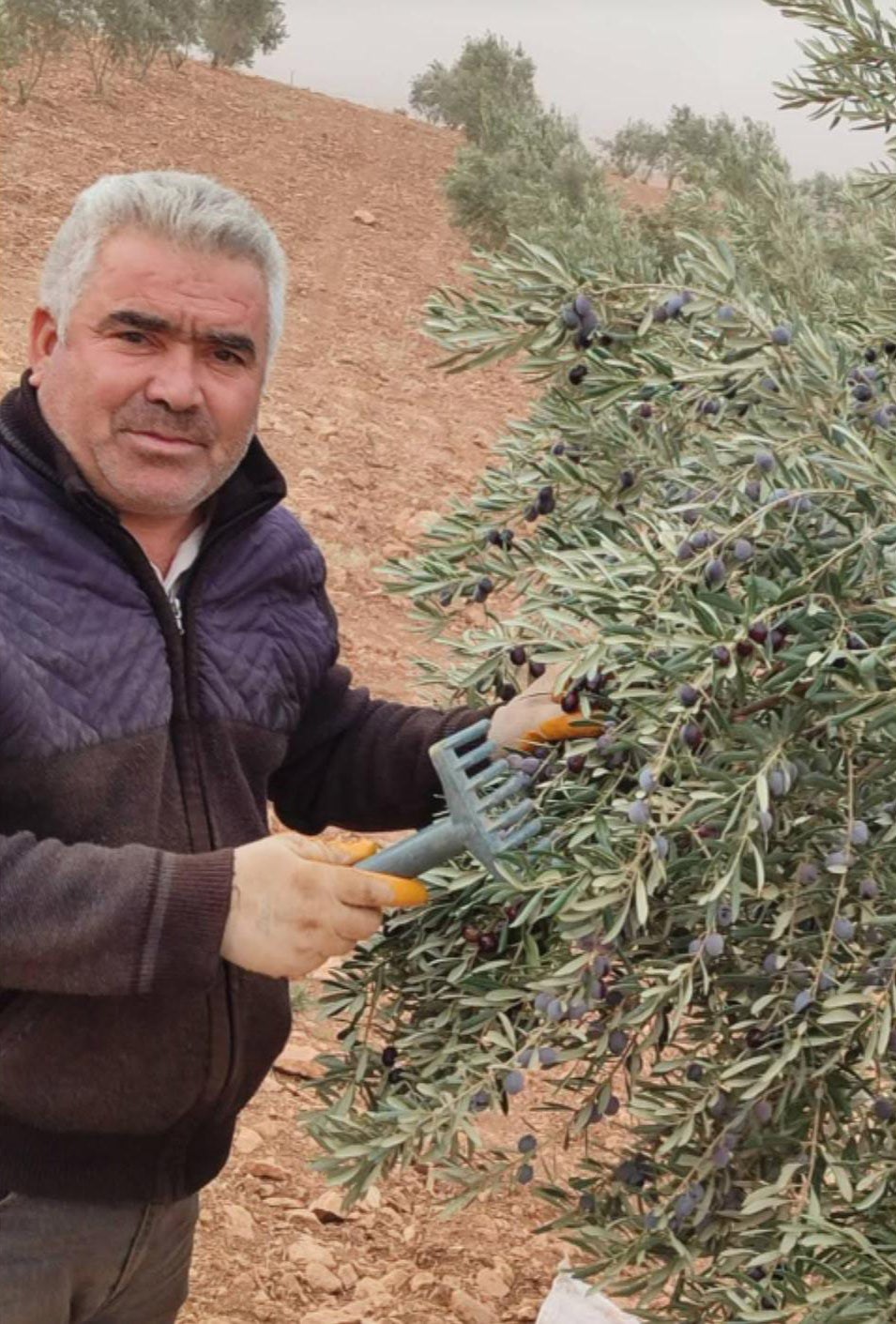 sanliurfada asansor faciasi bosluga dusen servis soforu hayatini kaybetti 2 iyhjVV8b