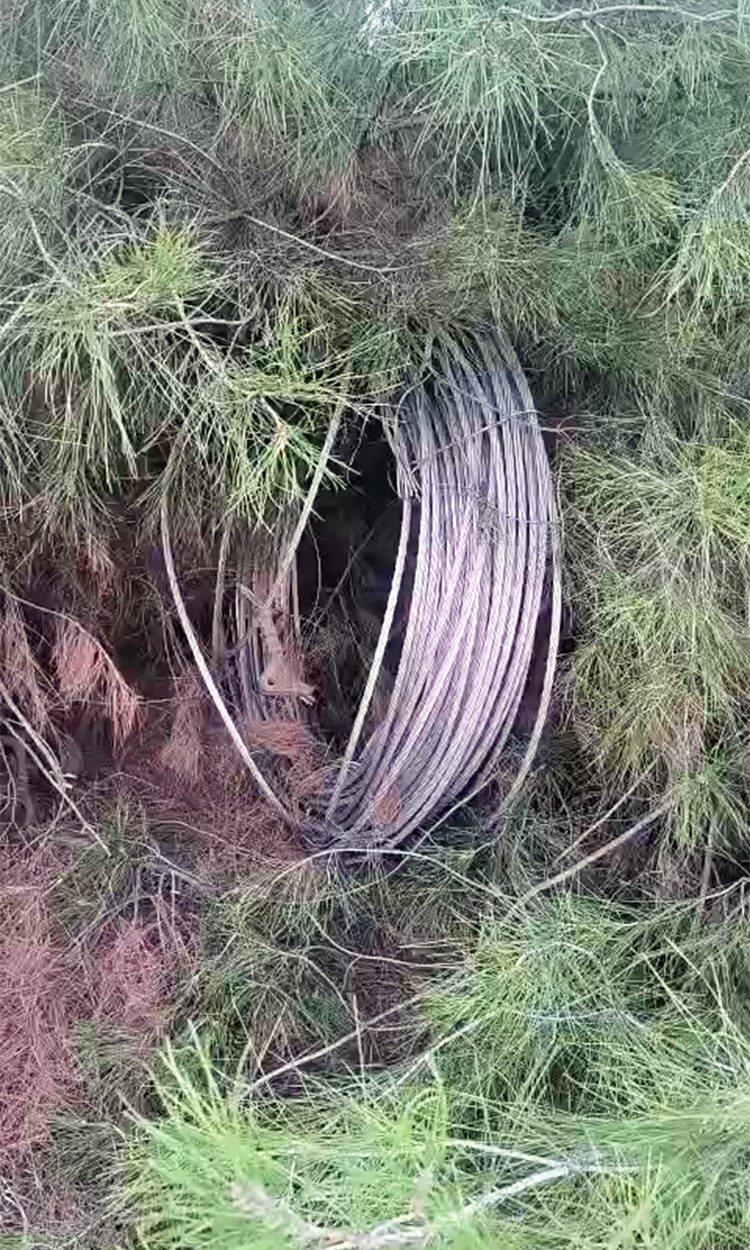 sanliurfada direk hirsizlari bolgeyi elektriksiz birakti 1 rNVBAIwf