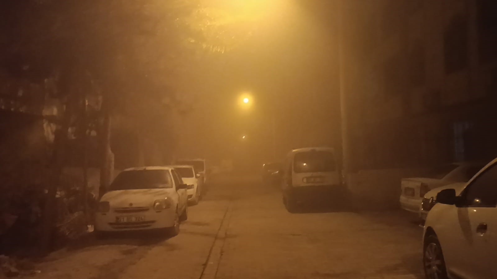 sanliurfada gece boyu yogun sis etkili oldu 2 v77hwRiu