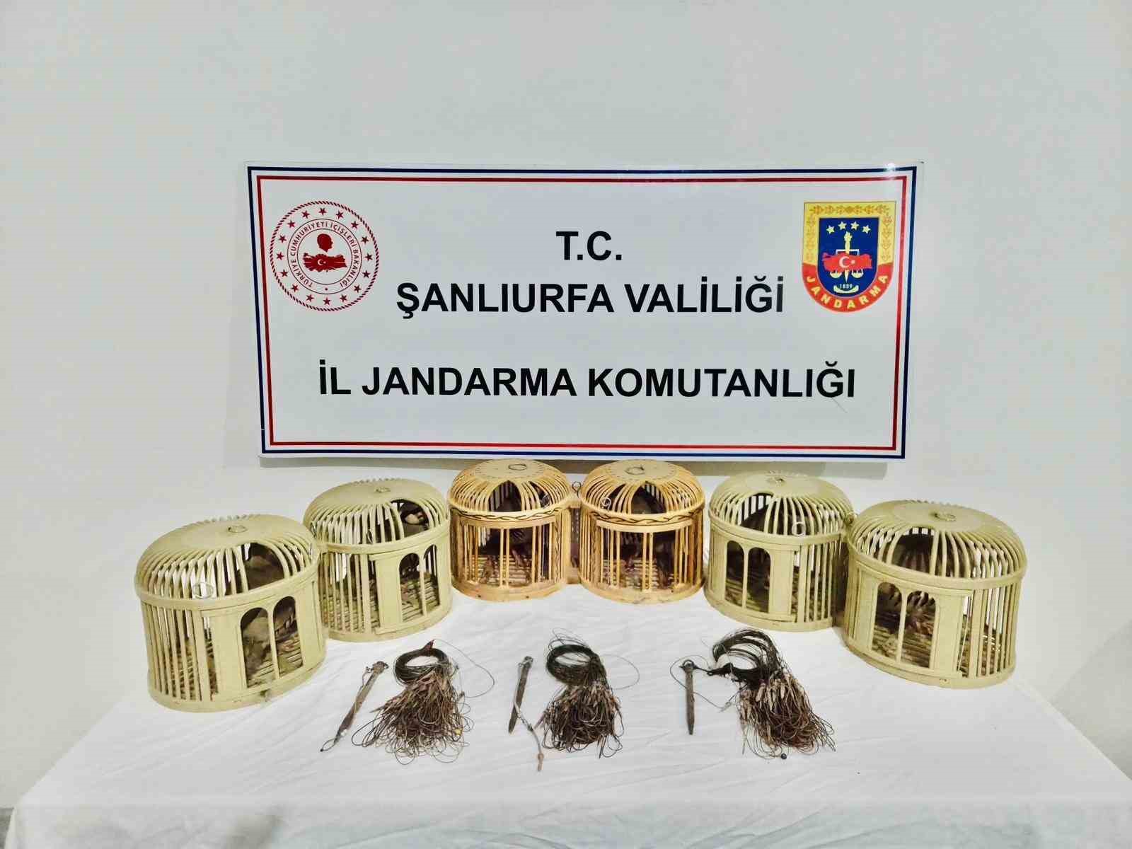 Şanlıurfa’da kaçak keklik avcıları suçüstü yakalandı 4 sanliurfada kacak keklik avcilari sucustu yakalandi 0 j3s5HD2Q