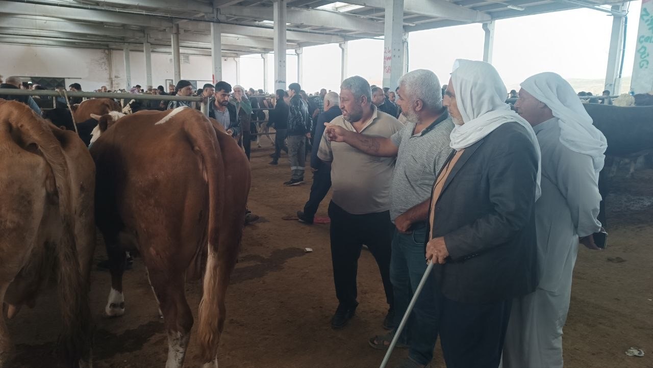 sanliurfada komisyoncularla besicilerin rekabeti basladi 12 aKOSufMf