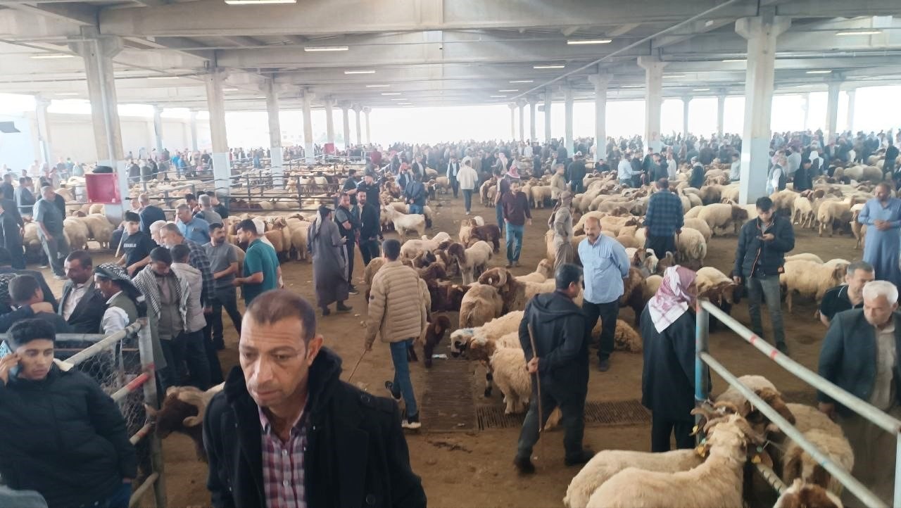 sanliurfada komisyoncularla besicilerin rekabeti basladi 2 ZMZDgWcC