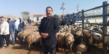 sanliurfada-komisyoncularla-besicilerin-rekabeti-basladi-wbOEjAPm.jpg