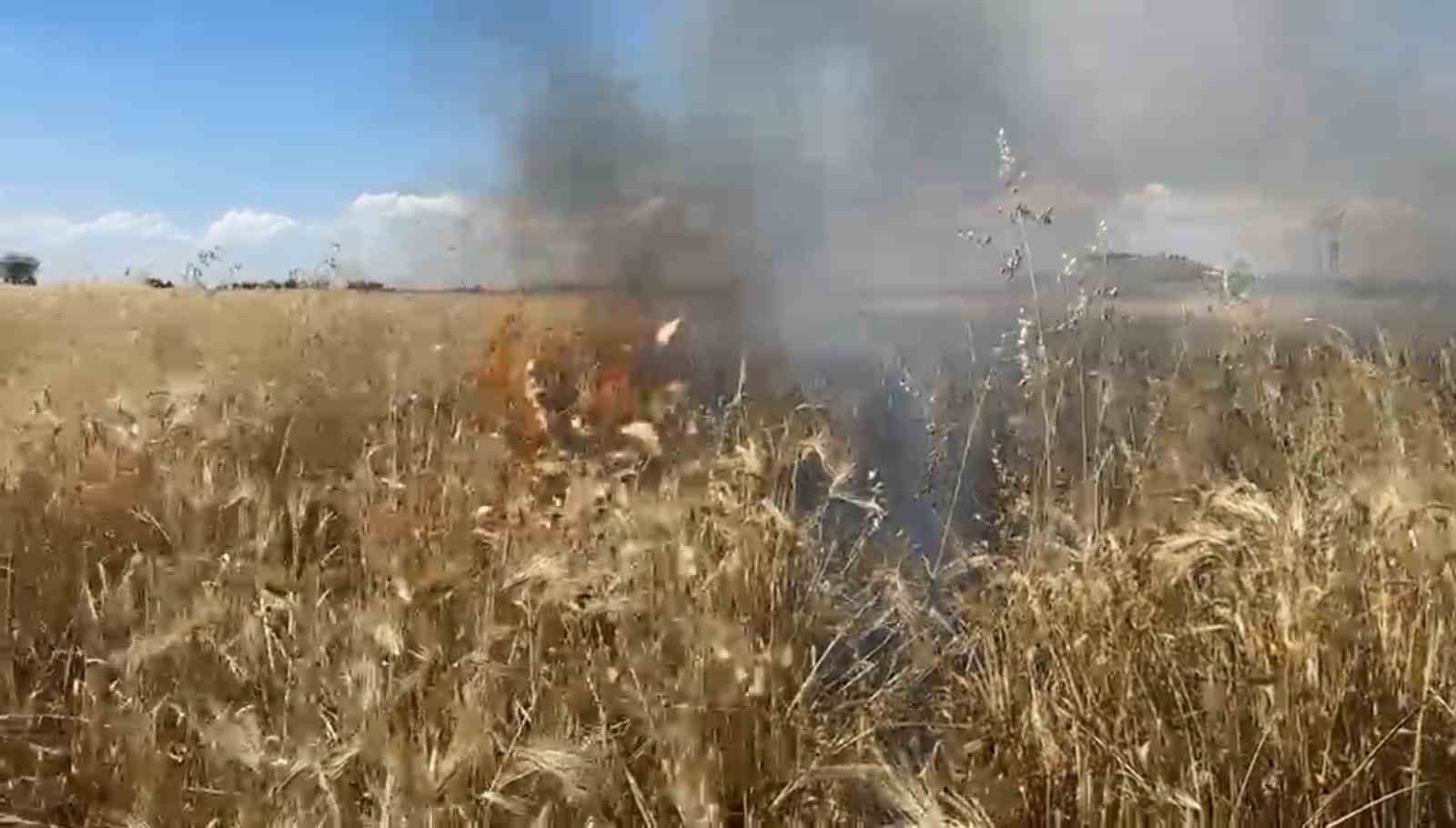 Şanlıurfa’da onlarca dönümlük arpa ekili tarla kül oldu 6 sanliurfada onlarca donumluk arpa ekili tarla kul oldu 2 UALbSMaF
