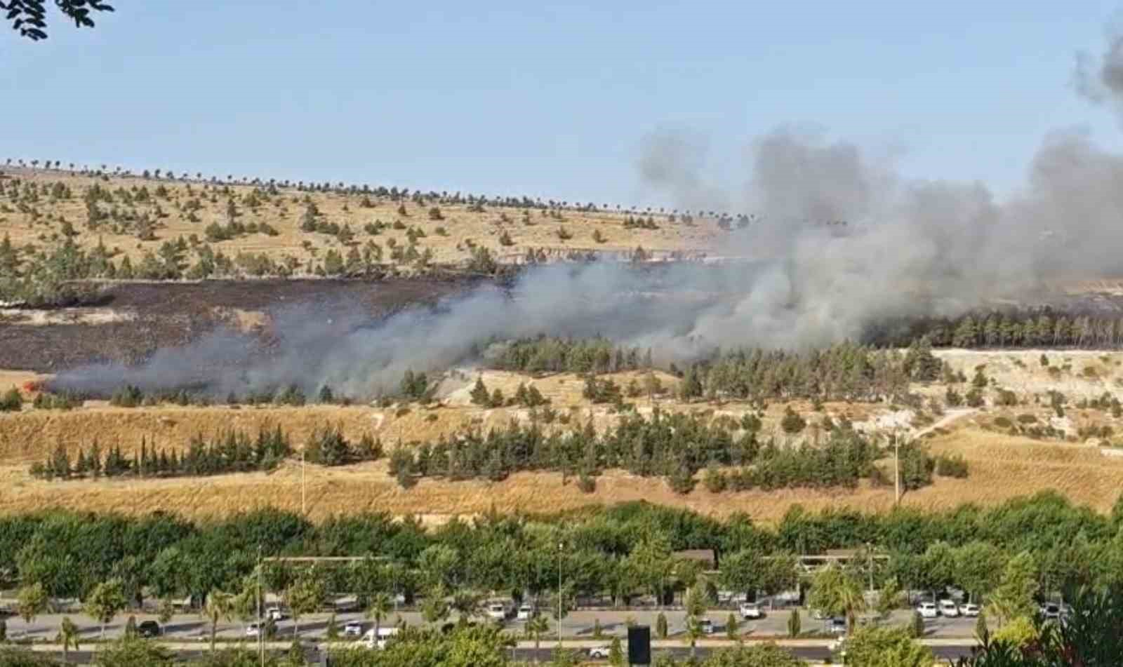 Şanlıurfa’da ormanlık alanda korkutan yangın 4 sanliurfada ormanlik alanda korkutan yangin 0 LKFAEMvz