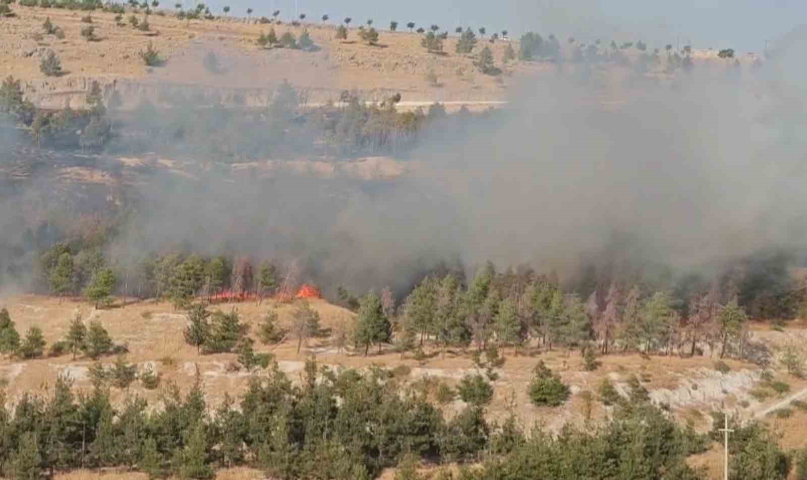 Şanlıurfa’da ormanlık alanda korkutan yangın 5 sanliurfada ormanlik alanda korkutan yangin 1 niuIqdi7