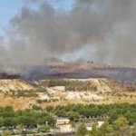 sanliurfada-ormanlik-alanda-korkutan-yangin-bIuEfSuY.jpg