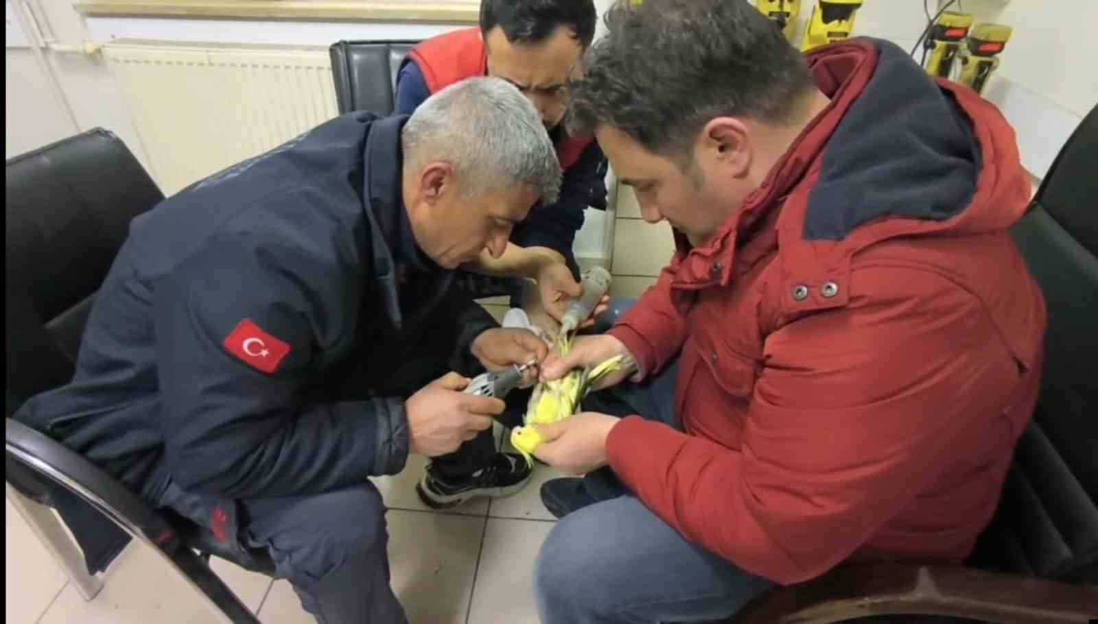 sanliurfada papaganin ayagina sikisan halhal itfaiye ekiplerinin operasyonuyla cikarildi 0 eAABt2A3