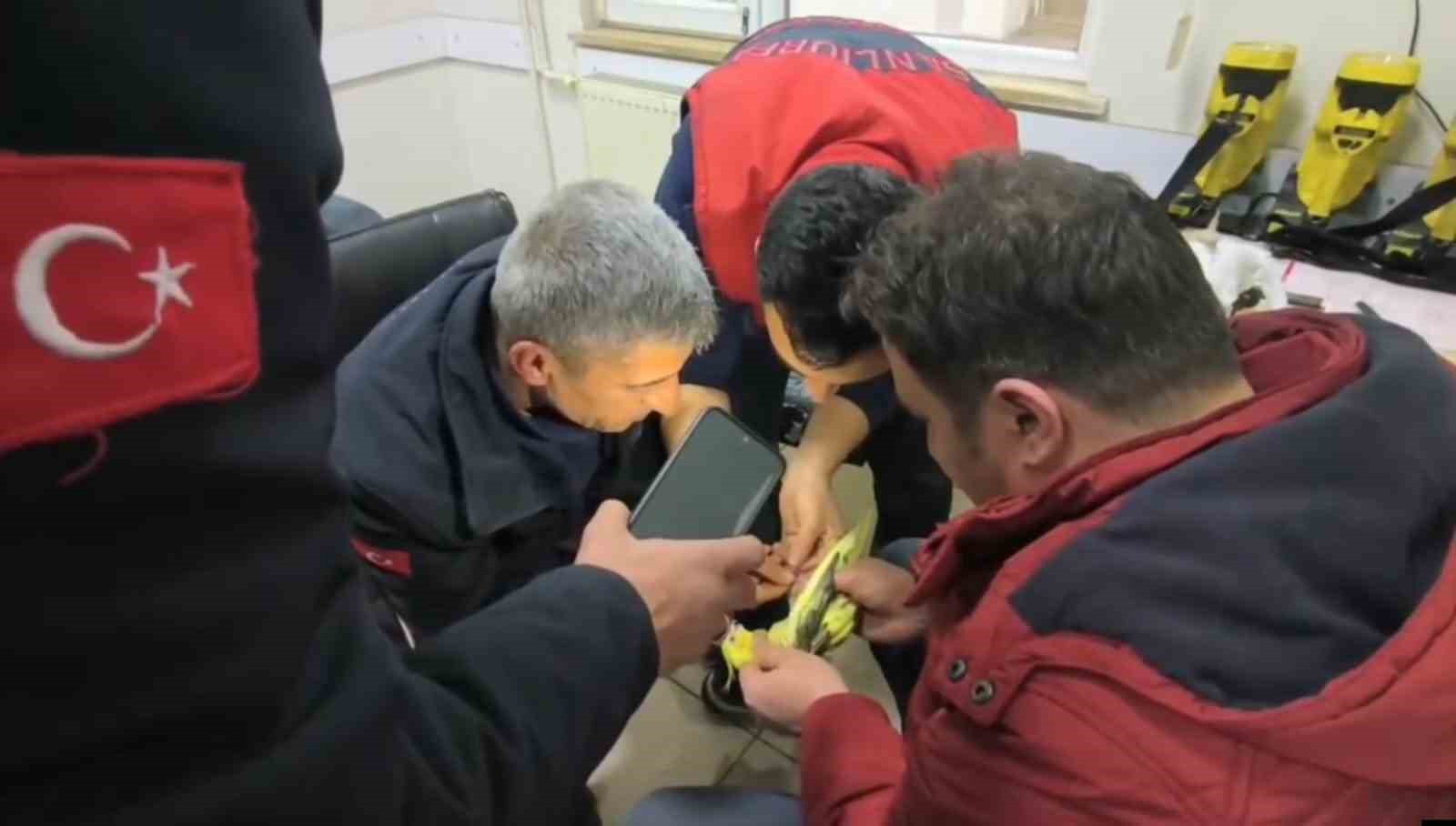 sanliurfada papaganin ayagina sikisan halhal itfaiye ekiplerinin operasyonuyla cikarildi 1 B3C6DfH3