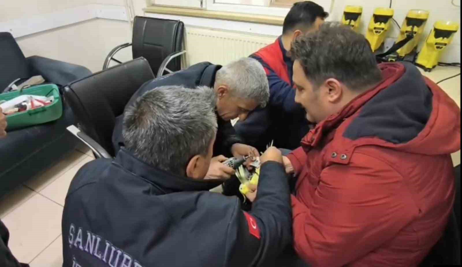 sanliurfada papaganin ayagina sikisan halhal itfaiye ekiplerinin operasyonuyla cikarildi 2 uOwMGXLY