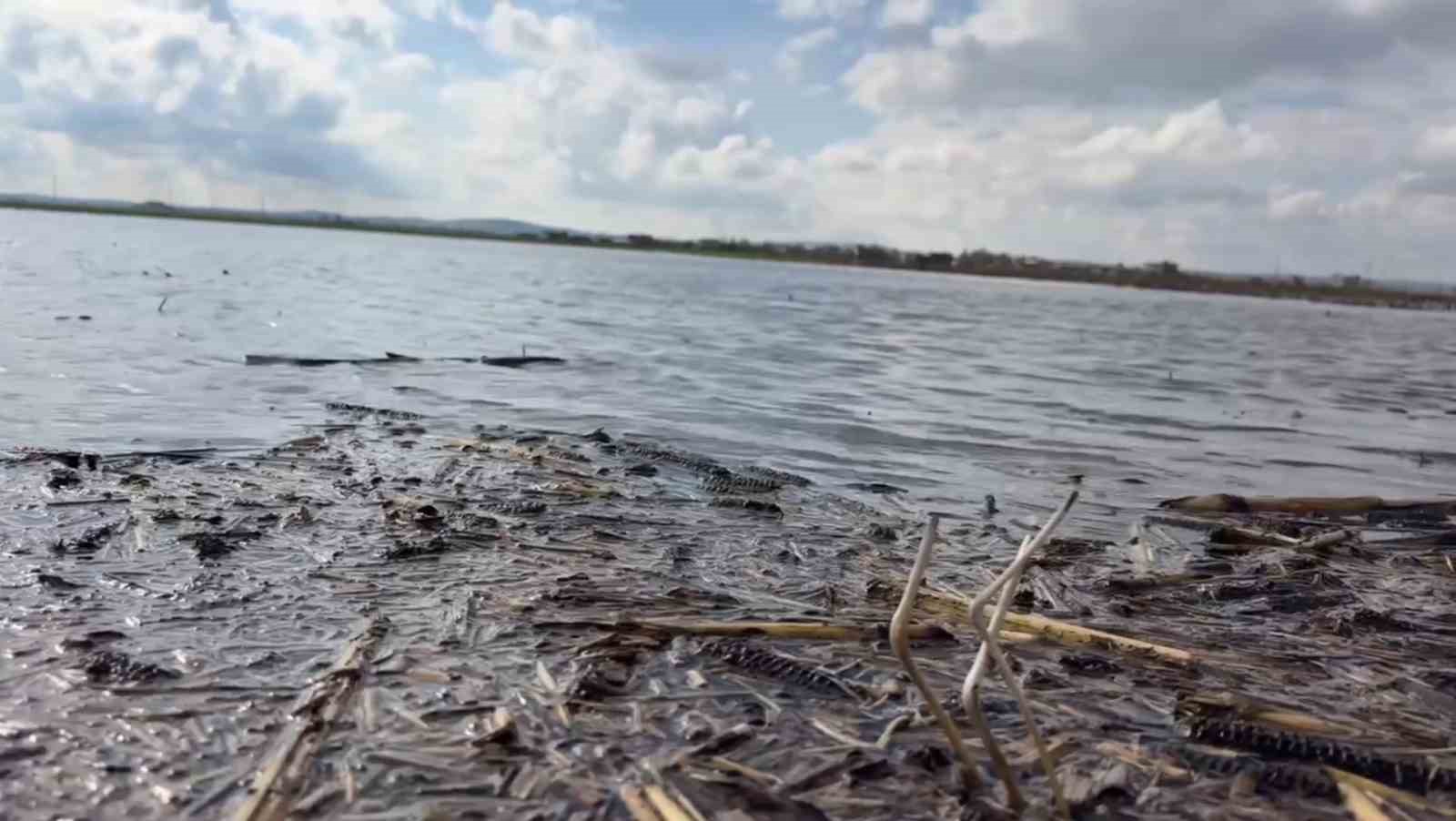 sanliurfada siddetli yagislar tarlalari gole cevirdi 2 AGzOyQtZ