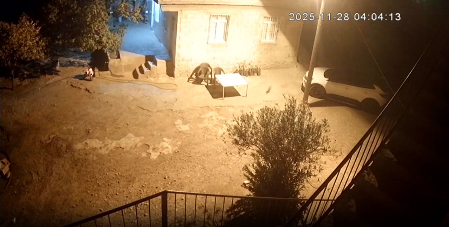 Şanlıurfa’da sırtlanlar tavuk kümesine girdi: Horoz ve tavukları çaldı 6 sanliurfada sirtlanlar tavuk kumesine girdi horoz ve tavuklari caldi 2 ayAdnqpt