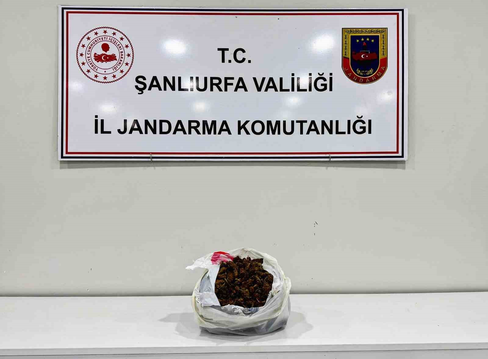 sanliurfada supheli aracta 1 kilo uyusturucu ele gecirildi 2 gozalti 0 UyZfl4BO
