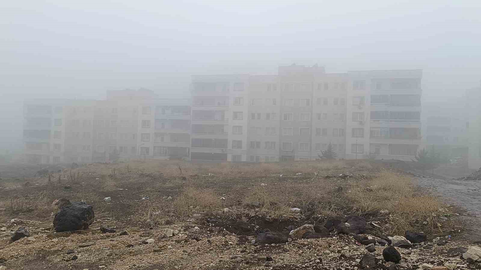 sanliurfada yogun sis ve yagmur etkili oluyor 2 cYRIJQLq
