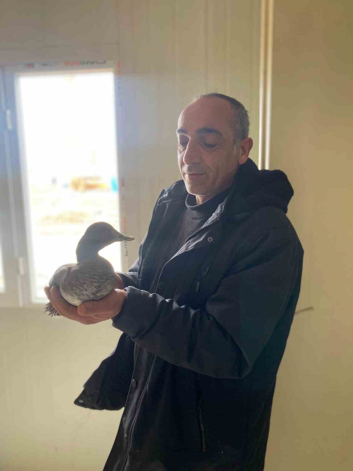 santiyede yarali halde buldugu ordege cocugu gibi bakti 3 3lMF4Jwd