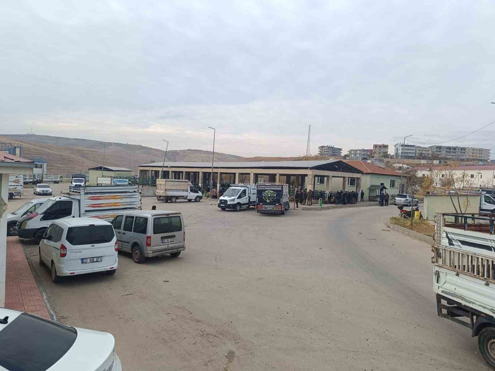 sap hastaligi nedeniyle kapali olan siirt hayvan pazari acildi 1 RV5ajAyy